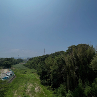 画像242
