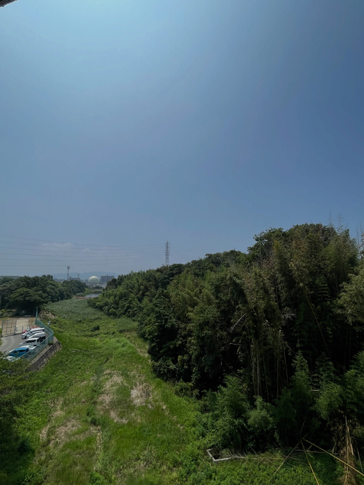 画像242