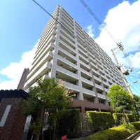 画像245