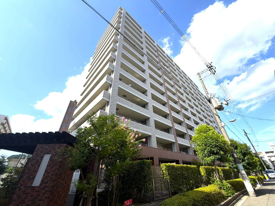 画像245